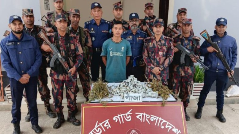 বান্দরবানে গহীন জঙ্গলে মিলল গাঁজা চাষের সন্ধান চাষী আটক