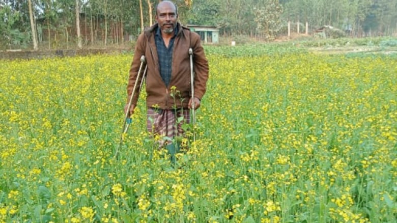 বোয়ালখালীতে সরিষার বাম্পার ফলন