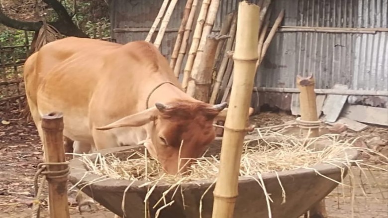 আনোয়ারায় এক রাতে ২ গরু চুরি