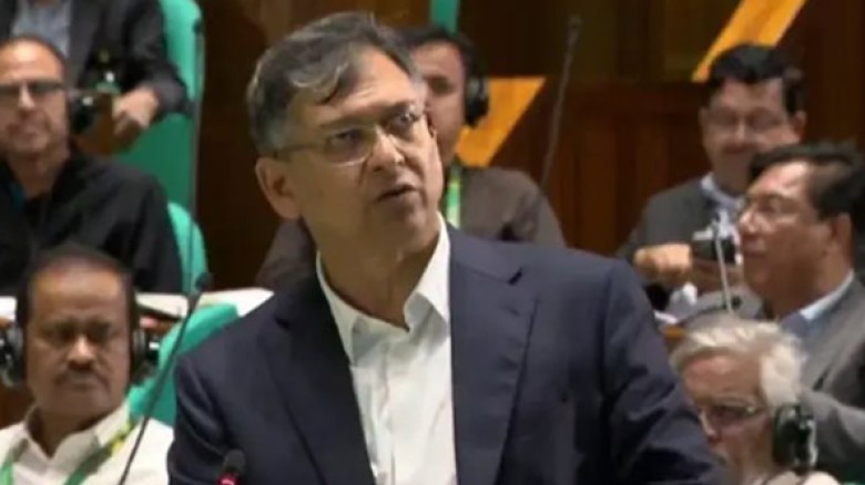 সাবেক ক্রীড়া উপদেষ্টা গায়ের জোরে বিসিবি দখল করেছিল : স্বরা