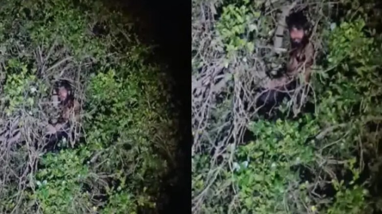 ৩ সেকেন্ডে’ ৩০ ফুট গাছের মগডালে যুবক, নামানো হলো আজান দিয়ে
