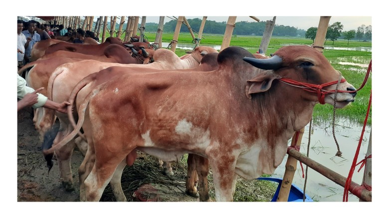 কর্ণফুলীর ফকিরনীর হাটে টানা ৫ দিনের অনুমতি ঘিরে বিতর্ক