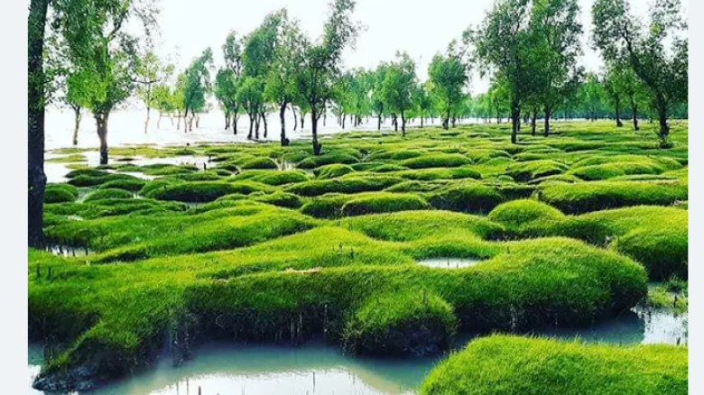 গুলিয়াখালী সৈকতে ১৭ ঘণ্টা পর নিখোঁজ পর্যটকের মরদেহ উদ্ধার