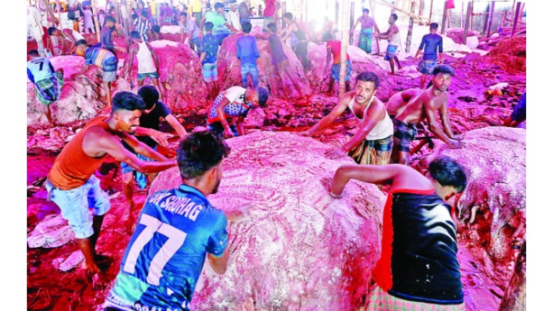 চট্টগ্রামে ৩ লাখ ২৮ হাজার ৭৭২টি পশুর চামড়া গেল কোথায়