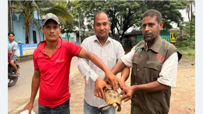 চট্টগ্রামে পরিত্যক্ত বস্তা থেকে মহাবিপন্ন হলুদ পাহাড়ি কচ্ছপ 