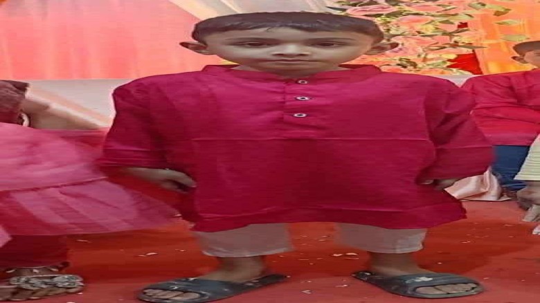 চন্দনাইশে ভিমরুলের কামড়ে ৭ বছরের শিশু রামীমের মৃত্যু