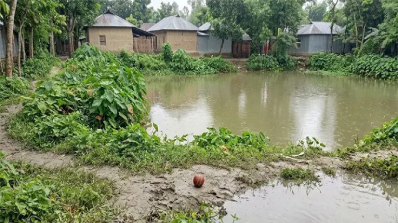 পুকুরে বল তুলতে গিয়ে প্রাণ গেল ৮ বছরের শিশুর