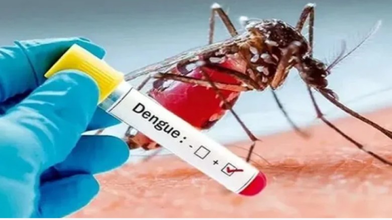 ডেঙ্গুতে দেশে ৫ জনের মৃত্যু, চট্টগ্রাম বিভাগে হাসপাতালে ভর্ত
